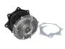 Насос охолоджуючої рідини, з ущільненням FORD MAVERICK  NISSAN PATHFINDER II, PICK UP, TERRANO I, TERRANO II 2.7D 09.87-09.07 WPN054A