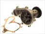 Насос охолоджуючої рідини, з ущільненням NISSAN CABSTAR, NAVARA, NAVARA NP300, NP300, NT400 CABSTAR, PATHFINDER III, PICK UP  RVI MAXITY 2.5D 11.01- WPN905