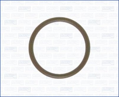 Фото 1 - прокладка колектора впускання AJUSA 16051000 Прокладка колектора впускання AJUSA 16051000 (фото 1)