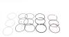 Кольца 4 цилиндр AMP PR-DAE-39-1401-000-SET (фото 5)