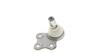 Опора шаровая Fiat Stilo 01-10/Bravo 07- ASMETAL 10FI4200 (фото 9)