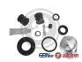 Ремкомплект супорта гальмівного FIAT tylny zacisk D42663C
