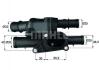 Термостат BEHR TM1105 (фото 1)