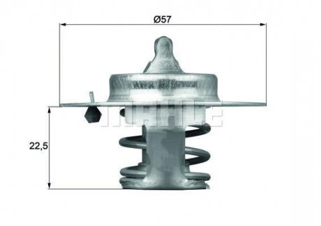 Термостат BEHR TX6083D