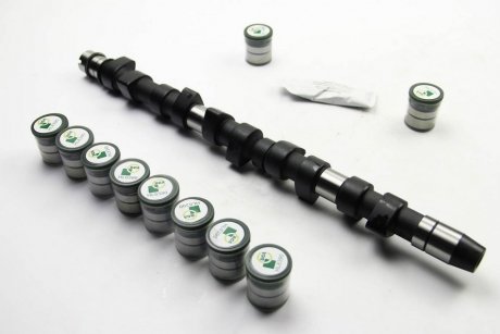 Распредвал LT 2.5TDI (AGX/AHD/ANJ/APA)/T4 2.5TDI (AUF/AXG/ACV) к-кт BGA CS3381K
