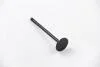 Клапан выпуск. A3/A4/A6/OCTAVIA/GOLF IV/PASSAT 1.8/2.8D  94-08 BGA V033438
