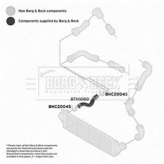Шлангопровід BORG & BECK BTH1080 (фото 1)