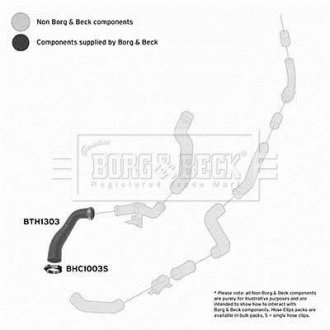 Шлангопровід BORG & BECK BTH1303 (фото 1)
