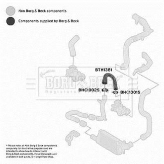 Шлангопровід BORG & BECK BTH1381