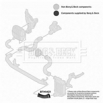 Шлангопровод BORG & BECK BTH1421