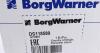 Комплект масляной помпы муфты дифференциала BorgWarner DS118589 (фото 2)