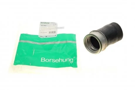 Напірний шланг, Borsehung B11982