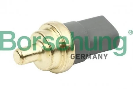 Датчик внутренней температуры (WAHLER) Borsehung B13146