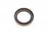 Уплотняющее кольцо (CORTECO) Borsehung B18791 (фото 1)