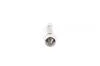 Лампа розжарювання 12V 5W C5W PURE LIGHT BOSCH 1 987 302 211 (фото 4)