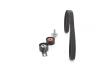 ZESTAW ROZRZ FORD B-MAX/FIESTA/FOCUS III/MONDEO 1,5TDCI/1,6TDCI 12- BOSCH 1987946556 (фото 4)