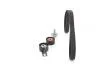 ZESTAW ROZRZ FORD B-MAX/FIESTA/FOCUS III/MONDEO 1,5TDCI/1,6TDCI 12- BOSCH 1987946556 (фото 4)