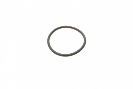 Уплотняющее кольцо (выр-во) BOSCH F00R0P0166 (фото 1)