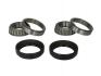 Подшипник колеса BTA H15003BTA (фото 1)