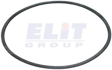 Сальник гумовий CARGO 236756 (фото 1)