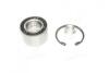 Подшипник ступицы FIAT передн. (выр-во Complex) COMPLEX AUTOMOTIVE BEARINGS Sp.z.o.o. CX077 (фото 1)