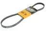 Ремень генератора 4PK922 Ducato/Boxer 2.2 MJTD/HDi 06> CONTITECH 4PK922 ELAST