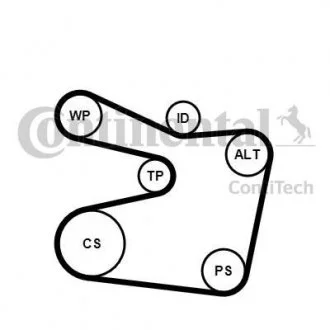 Комплект поликлинових ременів (з роликами) BMW 3 (E36), 5 (E34), 5 (E39), 7 (E38), Z3 (E36) 2.0/2.5/2.8 03.90-06.03 Contitech 6PK1555K2