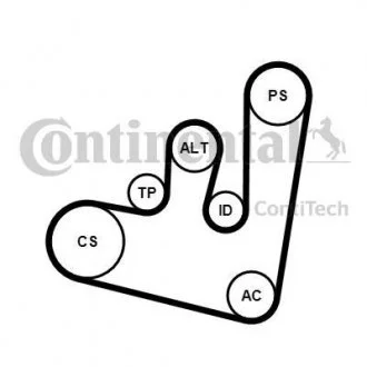 Комплект поликлинових ременів (з роликами) AUDI A3 SEAT CORDOBA, CORDOBA VARIO, IBIZA II, LEON, TOLEDO II SKODA OCTAVIA I, OCTAVIA I/KOMBI VW BORA, BORA I, GOLF IV, NEW BEETLE 1.9D 09.96-03.10 Contitech 6PK1660K2