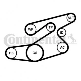 Комплект поликлинових ременів (з роликами) BMW 1 (E87), 3 (E90), 3 (E91) 2.0D 06.04-06.12 Contitech 6PK1836K1