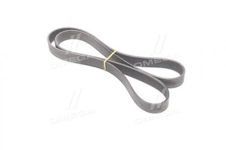 Поликлиновый ремень Contitech 8PK1560