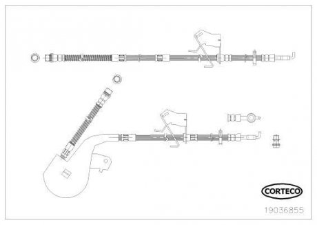 Тормозной шланг CORTECO 19036855 (фото 1)