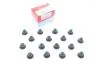 Комплект сальників клапана (5,5 x 25 x 18) FORD FIESTA V, FOCUS C-MAX, FOCUS I, FOCUS II, FOCUS III, MONDEO III, MONDEO IV, MONDEO V, MAZDA 2, 3, CX-7 1.3-2.5 10.00- 19036873