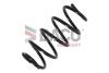 Sprкїyna zaw. * FORD S-MAX 06- 2.2 TDCI Przуd DACO 801021 (фото 1)