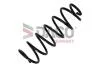 Sprкїyna zaw.                * CITROEN C4 PICASSO 08- Tyі 810606
