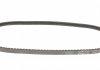 Ремінь клиновий (вир-во) DAYCO 10A0775C (фото 3)