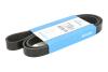 Ремень поликлиновый (Вы-во) DAYCO 6PK1560 (фото 1)