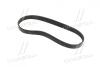 Ремень поликлиновый (Выр-во) DAYCO 6PK701EE (фото 3)
