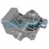 Насос охолоджуючої рідини, з ущільненням CITROEN JUMPER I, JUMPER II FIAT DUCATO PEUGEOT BOXER 2.5D/2.8D 03.94- DAYCO DP340 (фото 1)