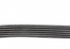 CITROEN Комплект поликлинового ремня (ремень+ролик+натяжитель) Berlingo,C4,Peugeot 1.6 00- DAYCO KPV830 (фото 10)