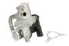 ZAWOR EGR EG10493-12B1