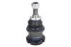 Шаровая опора MERCEDES W163 "R "98-"05 TC2133