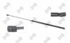 Газова пружина кришки багажника  FORD FOCUS KOMBI 98-01 10100019