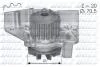 Водяной насос Ducato/Boxer/Scudo 1.9TD (1905) 94-02 DOLZ C119