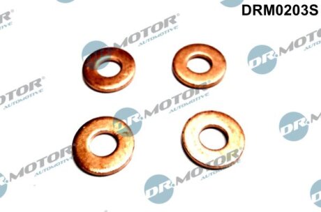 Шайба інжектора CITROEN 4SZT. Dr.Motor DRM0203S (фото 1)