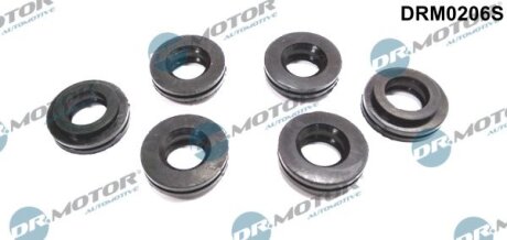 Ущільнення інжектора Dr.Motor DRM0206S