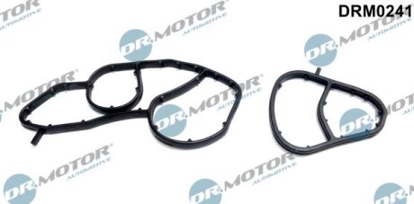 Прокладка, корпус маслянного фильтра ZESTAW USZCZELEK FILTRA OLEJU CITROEN 1,6HDI Dr.Motor DRM0241