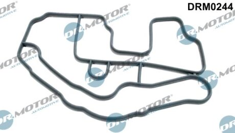 Прокладка Dr.Motor DRM0244