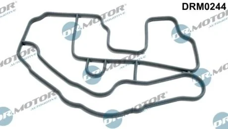 Прокладка Dr.Motor DRM0244