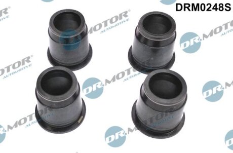 Комплект сальників гумових Dr.Motor DRM0248S