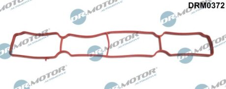 Ущільнююче кільце SS. FORD 1,6 ECOBOOST 11- Dr.Motor DRM0372